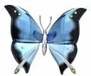 Blue Butterfly