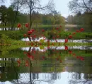 woda, jeziorko, jarzÄ™bina, red