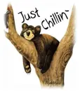 Bear - Just Chillin'