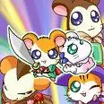 HamHams