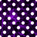 Purple polka dot