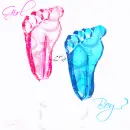 Expecting: Girl or Boy?
