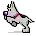 Dong On The  Run