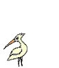 Hungry Bird