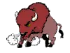 Animated Bison