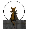 Kitty Love