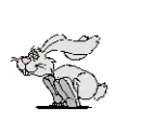 Runing Bunny