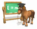 Donkey