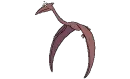 Dragon Bird