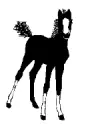 Black Horse