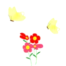 Sbutterfly flowers