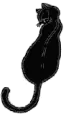 Black Cat