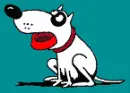 Hungry Dog