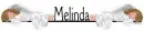 Angel Divider - Melinda