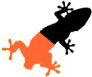 gecko