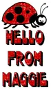 ladybug hello maggie