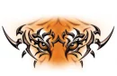 Tribal Tiger Eyes