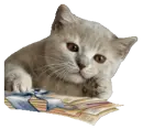 *wink