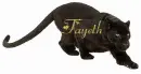 Fayeth
