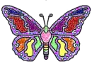 Rainbow butterfly