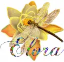 Dragonfly on flower