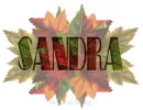 Fall Leaves Sandra