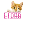 Kitty