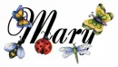 bugs mary
