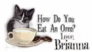 Kitty Oreo Brianna