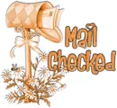 Mail Checked