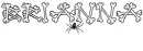 spider brianna