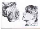 horse by persons nose