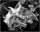Butterfly & Doves