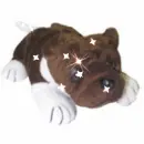 Spike the Bullie (BK)