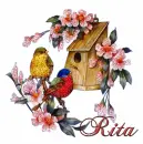 Rita~Birdhouse