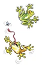 Frogs