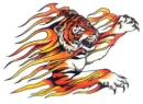 Tiger & Flames