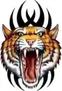 Tiger Growling