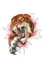Tiger Tearing Through
