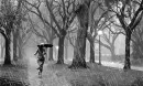 rain