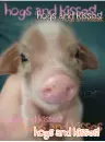 Hogs and kisses
