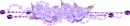 violet rose