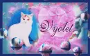 Cat-bubbles-Vyolet