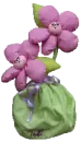 Kawaii flowers
