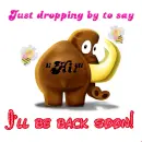 Elephant greetings