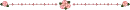 rose and stars