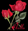 Hello rose