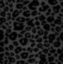 black tile