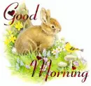 good morning