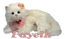 Fayeth 